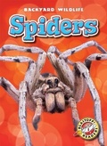 Cover: Spiders - Blastoff! Readers