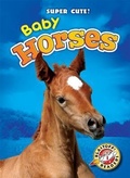 Cover: Baby Horses - Blastoff! Readers