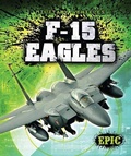 Cover: F-15 Eagles - Epic