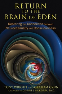 Enlarge image Cover: Return to the Brain of Eden - Inner Traditions Bear and Company