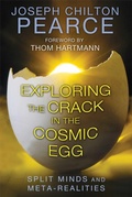 Cover: Exploring the Crack in the Cosmic Egg - Park Street Press,U.S.