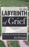 Cover: In the Labyrinth of Grief - Wipf & Stock Publishers