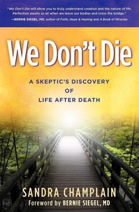 Enlarge image Cover: We Don't Die - Morgan James Publishing