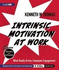 Cover: Intrinsic Motivation at Work - Audiogo
