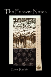 Enlarge image Cover: The Forever Notes - Parlor Press