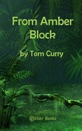 Cover: From Amber Block - Estar Books