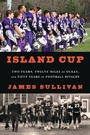 Cover: Island Cup - Bloomsbury Press