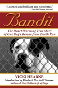 Cover: Bandit - Skyhorse Publishing
