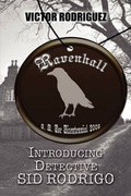Cover: Ravenhall - America Star Books