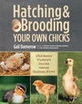 Cover: Hatching & Brooding Your Own Chicks - Storey Publishing LLC