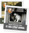 Cover: What Should I Do? (Set) - Cherry Lake Publishing