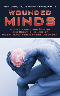 Enlarge image Cover: Wounded Minds - Skyhorse Publishing
