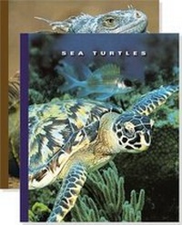 Enlarge image Cover: The World of Reptiles (Set) - Child's World