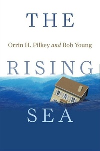 Enlarge image Cover: The Rising Sea - Island Press