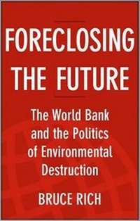 Enlarge image Cover: Foreclosing the Future - Island Press