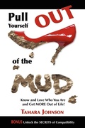 Cover: Pull Yourself Out of the Mud - Morgan James Publishing llc