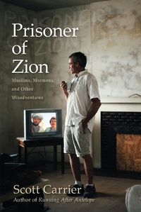 Abbildung von: Prisoner of Zion - Counterpoint