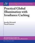 Cover: Practical Global Illumination with Irradiance Caching - Morgan & Claypool Publishers
