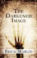 Cover: The Darkened Image - America Star Books