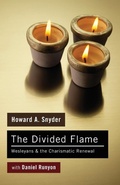 Cover: The Divided Flame - Wipf & Stock Publishers