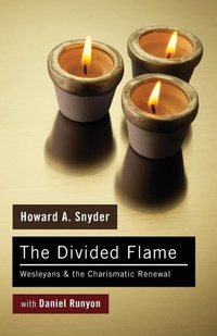 Enlarge image Cover: The Divided Flame - Wipf & Stock Publishers