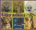 Cover: Baby Animals of the World - Enslow Publishing