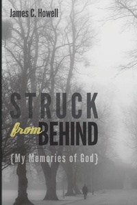 Enlarge image Cover: Struck from Behind - Wipf & Stock Publishers