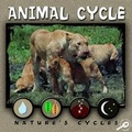 Cover: Animal Cycle - Rourke Publishing
