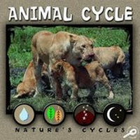 Enlarge image Cover: Animal Cycle - Rourke Publishing