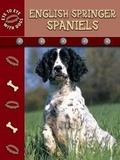 Cover: English Springer Spaniels - Rourke Publishing
