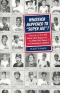 Cover: Whatever Happened to Super Joe? - Gray & Company Publishers