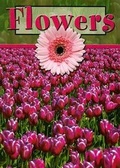 Cover: Flowers - Rourke Publishing