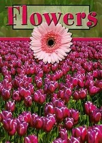 Enlarge image Cover: Flowers - Rourke Publishing