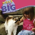 Cover: What Is Big Compared to Me? - Rourke Publishing