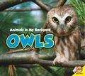 Cover: Owls - Av2 by Weigl