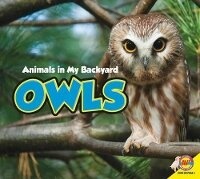 Enlarge image Cover: Owls - Av2 by Weigl