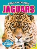 Cover: Jaguar - Av2 by Weigl