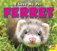 Enlarge image Cover: Ferret - Av2 by Weigl