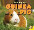 Cover: Guinea Pig - Av2 by Weigl