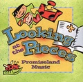 Cover: Looking at the Pieces Music CD Pack of 5 - Zondervan