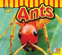Enlarge image Cover: Ants - Av2 by Weigl