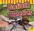 Cover: Goliath Beetle - AV2 by Weigl Educational Publishers