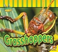 Cover: Grasshoppers - Av2 by Weigl
