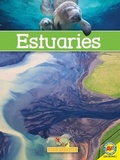 Cover: Estuaries - Av2 by Weigl
