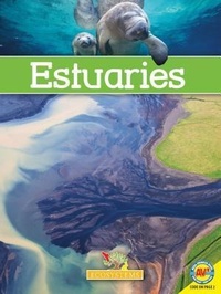 Enlarge image Cover: Estuaries - Av2 by Weigl