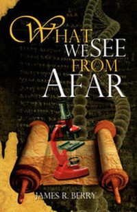 Enlarge image Cover: What We See From Afar - Xulon Press