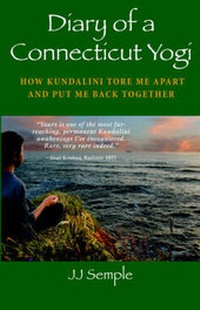 Abbildung von: Diary of a Connecticut Yogi - Dog Ear Publishing