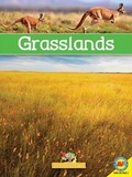 Cover: Grasslands with Code - Av2 by Weigl