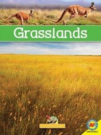 Enlarge image Cover: Grasslands with Code - Av2 by Weigl