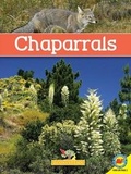 Cover: Chaparrals - Av2 by Weigl